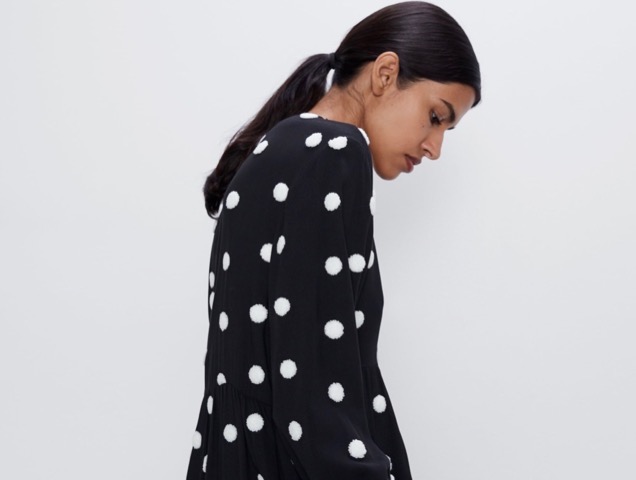 Zara, Tops, Zara Polka Dot Shirt With Embroidery