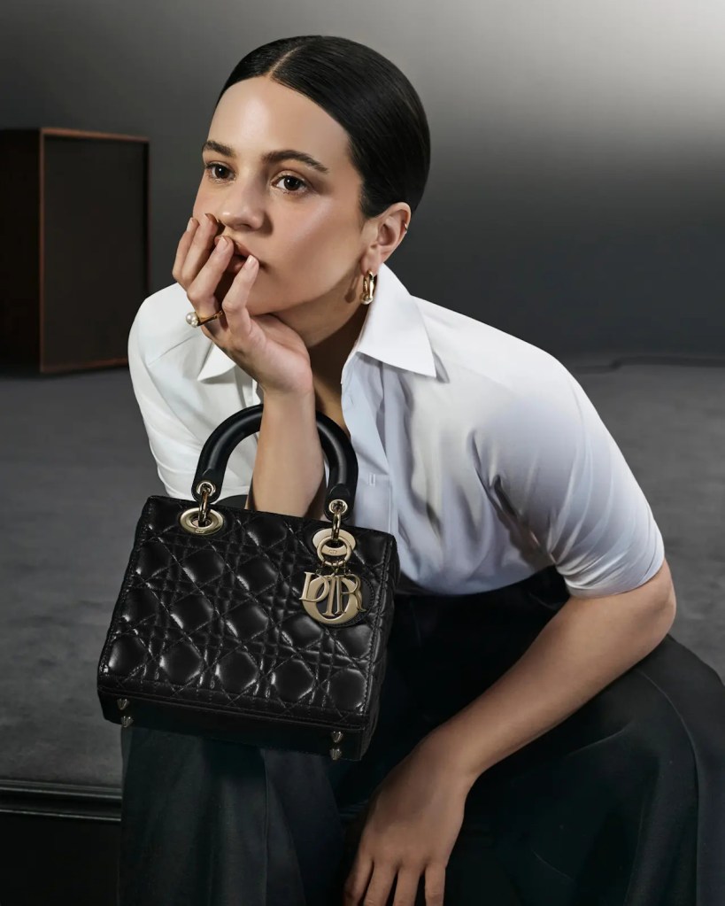 Christian Dior ‘Lady Dior’ Handbags 2024 : Rosalía by Collier Schorr 