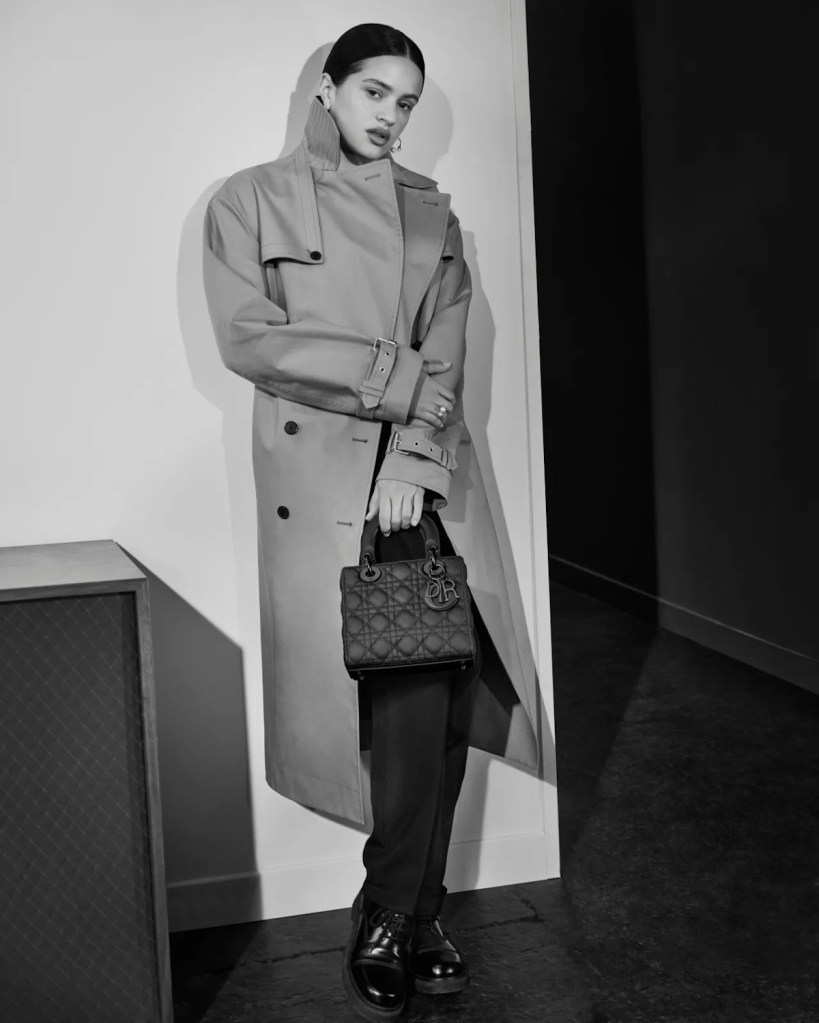 Christian Dior ‘Lady Dior’ Handbags 2024 : Rosalía by Collier Schorr