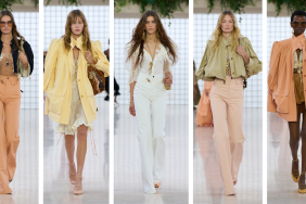 Forum Members Review the Chloé Spring 2025, Chemena Kamali's Sophomore Collection