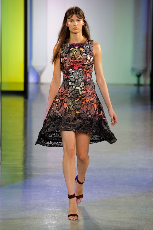 Peter Pilotto Spring 2014 - theFashionSpot